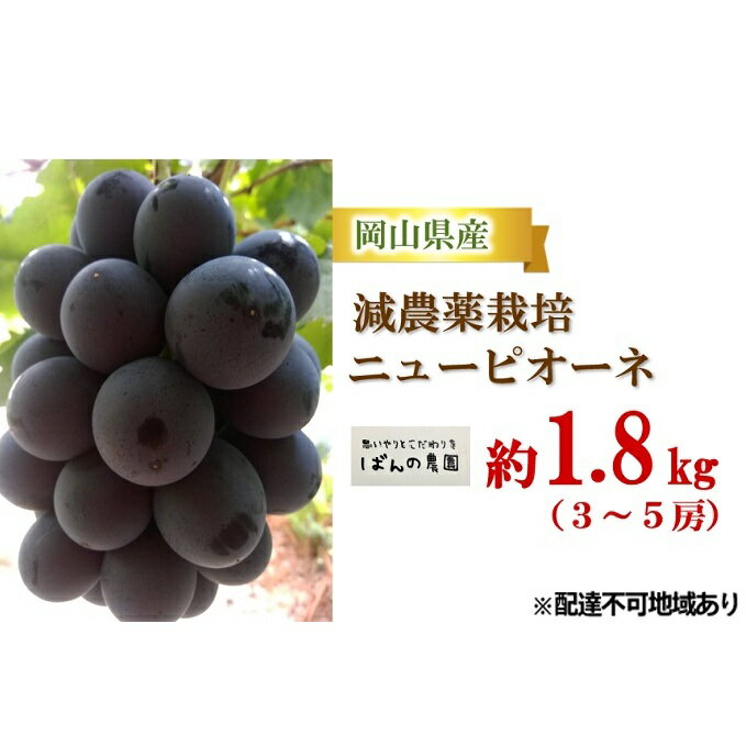 ぶどう 2024年 先行予約 ニュー ピオーネ 約1.8kg 3～5房 減農薬栽培 ブドウ 葡萄 岡山県産 国産 フルーツ 果物 ギフト ばんの農園　【果物・ぶどう・フルーツ・ニューピオーネ・約1.8kg】　お届け：2024年9月上旬～2024年10月上旬