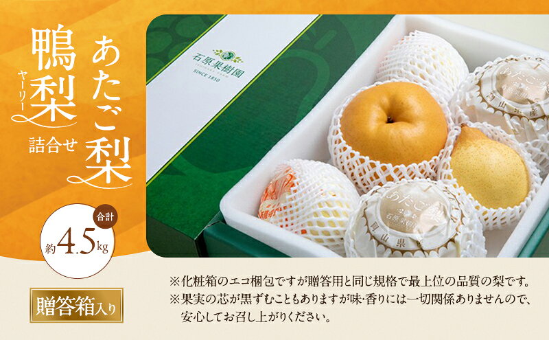【ふるさと納税】梨 2026年 先行予約 あたご梨・鴨梨（ヤーリー）詰合せ 合計約4.5kg あたご2～3玉 鴨梨3～7玉 贈答箱【11月下旬～12月中旬頃発送】 ナシ なし 岡山県産 国産 フルーツ 果物 ギフト 石原果樹園 　お届け：2026年11月15日～2026年12月20日 f334456-satosho-10000419 岡山県里庄町 サンプル画像3