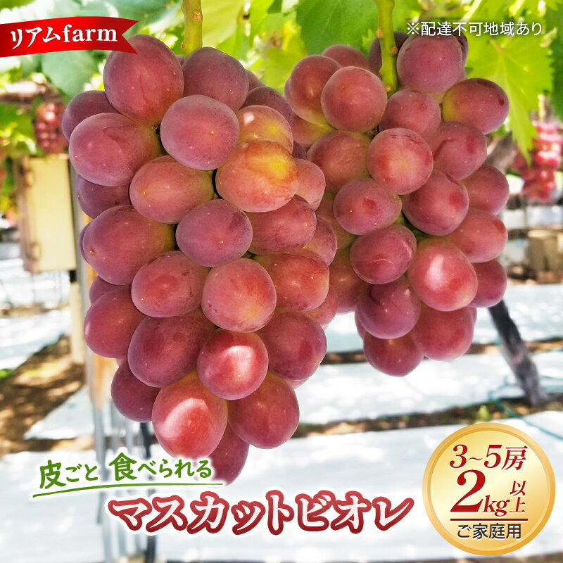 4位! 口コミ数「7件」評価「4」ぶどう 2024年 先行予約 ご家庭用 ” 皮ごと 食べられる” マスカット ビオレ 3～5房 （2kg以上）リアム farm 　【 果物類･･･ 