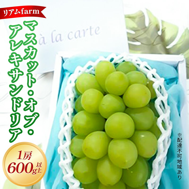 16位! 口コミ数「1件」評価「3」ぶどう 2024年 先行予約 マスカット・オブ・アレキサンドリア 1房（600g以上）リアム farm 岡山県産 果物 フルーツ　【果物・ぶ･･･ 