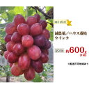 ぶどう 2024年 先行予約 ウインク 1房 約600g 減農薬／ハウス栽培 ブドウ 葡萄 岡山県産 国産 フルーツ 果物 ギフト ばんの農園　　お届け：2024年9月中旬～2024年10月上旬