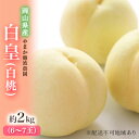 【ふるさと納税】桃 【 2026年 先行予約 】 岡山県産 白皇 ( 白桃 ) 約2kg(6~7玉) 《2026年8月中旬~下旬頃出荷》 白桃 岡山 はくとう フルーツ 果物 先行予約 数量限定 期間限定 里庄町 モモ もも お届け:2026年8月中旬~2026年8月下旬