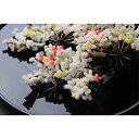 11位! 口コミ数「0件」評価「0」葛の花・扇昆布セット　【加工食品 細工麩 彩り 五色あられ 添えもの トッピング ホームパーティー 】　お届け：準備でき次第、順次発送いたし･･･ 