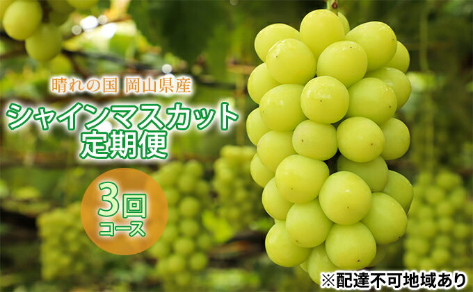 【ふるさと納税】ぶどう 2024年 先行予約 晴れの国 シャインマスカット 1房（約700g） 定期便 3回 コース 岡山県 シャインマスカット フルーツ ぶどう ブドウ 種なし フルーツ 果物 旬 定期便 　【定期便・里庄町】　お届け：2024年9月上旬～2024年12月12日 2