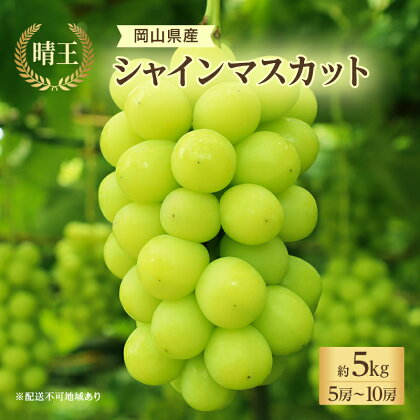 ぶどう 2024年 先行予約 シャイン マスカット 晴王 5房～10房 約5kg 7月中旬～8月中旬発送 ブドウ 葡萄 岡山県産 国産 フルーツ 果物 ギフト　【 果物 マスカット フルーツ デザート 秋の味覚 産地直送 】　お届け：2024年7月中旬～2024年8月中旬