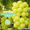 28位! 口コミ数「1件」評価「5」ぶどう 2024年 先行予約 晴れの国 岡山県産 シャインマスカット定期便 2回コース-B フルーツ 果物 岡山　【定期便・ 果物 ぶどう ･･･ 