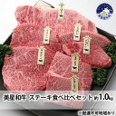 【ふるさと納税】美星和牛 ステーキ食べ比べセット 約1.0kg ステーキソースと牛脂付き 岡山県 里庄町 送料無料 【里庄町】 お届け：準備でき次第 順次発送いたします 