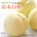 【ふるさと納税】桃 【 2026年 先行予約 】 岡山県産 清水 白桃 ( 白桃 ) 約2kg(6~7玉) 《2026年7月中旬~8月上旬頃出荷》 白桃 岡山 フルーツ 果物 先行予約 数量限定 期間限定 里庄町 モモ もも お届け:2026年7月中旬~2026年8月上旬