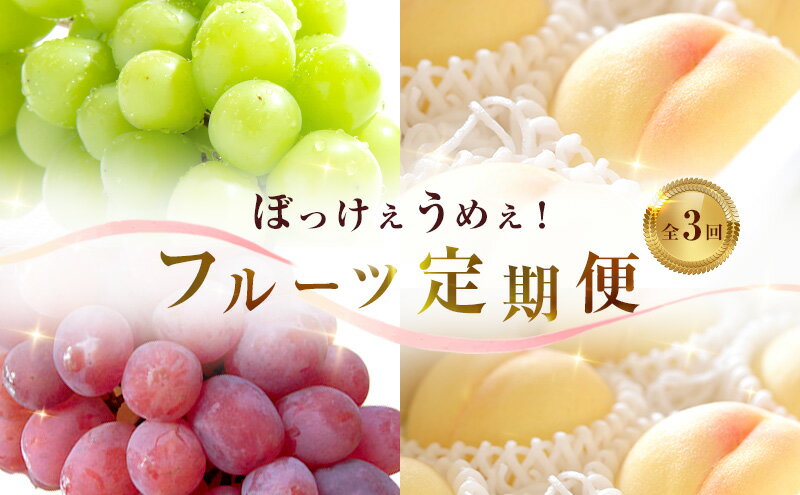 【ふるさと納税】桃 ぶどう 2024年 先行予約 ぼっけぇうめぇ フルーツ 定期便 3回 コース -2 もも モモ 葡萄 ブドウ 岡山県 果物　【定期便・ 果物 白桃 シャインマスカット 紫苑 甘み 皮ごと 大粒 種なし 高糖度 】　お届け：2024年8月上旬～2024年10月下旬