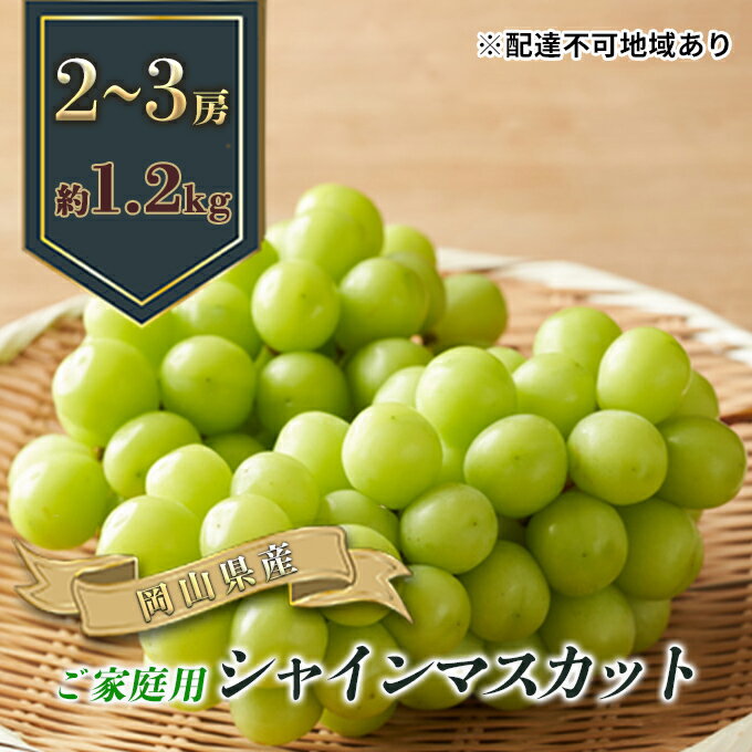 【ふるさと納税】ぶどう 2025年 先行予約 ご家庭用 シャイン マスカット 2~3房 合計約1.2kg ブドウ 葡萄 岡山県産 国産 フルーツ 果物 ギフト 皮ごと 種なし お届け:2025年9月上旬~2025年10月下旬