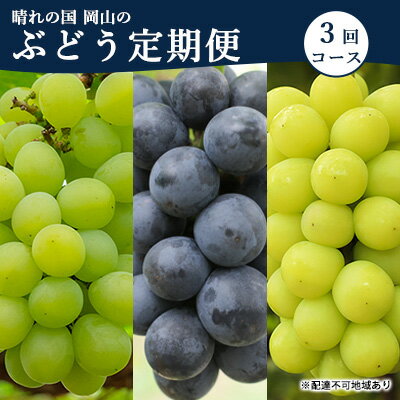 ぶどう 定期便 2024年 先行予約 晴れの国 岡山 の ぶどう定期便 3回コース 葡萄 ブドウ 岡山県産 国産 セット ギフト　【定期便・ 果物 アレキサンドリア ニューピオーネ シャインマスカット 晴王 上品な香り 】　お届け：2024年7月上旬～2024年9月下旬