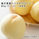 【ふるさと納税】【2025年先行予約】 桃 岡山県産 ご家庭用 もも さきがけはくとう 約2kg(9〜11玉)藤井農園《2025年6月中旬〜7月上旬頃出荷》 果...