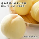 【ふるさと納税】【2025年先行予約】 桃 岡山県産 ご家庭用 もも 晩生の白桃 約2kg(7〜9玉)藤井農園 《2025年8月中旬〜9月中旬頃出荷》 果物 岡...