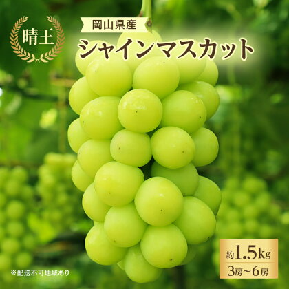 ぶどう 2024年 先行予約 シャイン マスカット 晴王 3房～6房 約1.5kg 8月下旬～10月下旬発送 ブドウ 葡萄 岡山県産 国産 フルーツ 果物 ギフト　【里庄町】　お届け：2024年8月下旬～2024年10月下旬