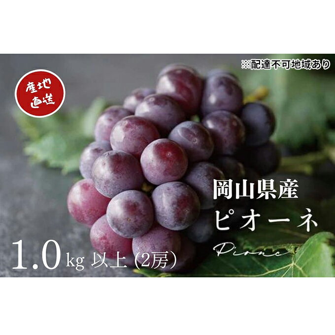 【ふるさと納税】厳選 ニューピオーネ 2房 合計1.0kg以上 産地直送 朝採れ ぶどう 葡萄 Kawahara Green Farm 岡山県産 2024年　【 果物 フルーツ 酸味 さっぱり 食べやすい 人気 甘い 美味しい 】　お届け：2024年8月下旬～2024年9月下旬