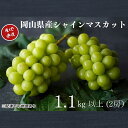 【ふるさと納税】厳選 シャインマスカット 2房 合計1.1kg以上 産地直送 朝採れ ぶどう 葡萄 Kawahara Green Farm 岡山県産 2025年...