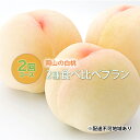 【ふるさと納税】桃 2024年 先行予約 岡山の 白桃 2種