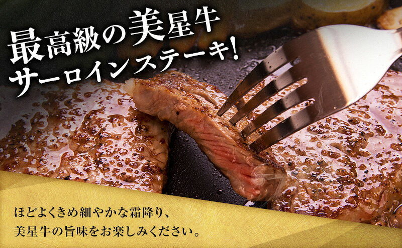 【ふるさと納税】【定期便 2回 隔月で届く】美星和牛 サーロインステーキ 各回約800g（約200g×4枚） 牛肉 岡山県 里庄町 送料無料　お届け：準備でき次第、順次発送いたします。 f334456-satosho-10000997 岡山県里庄町 サンプル画像3