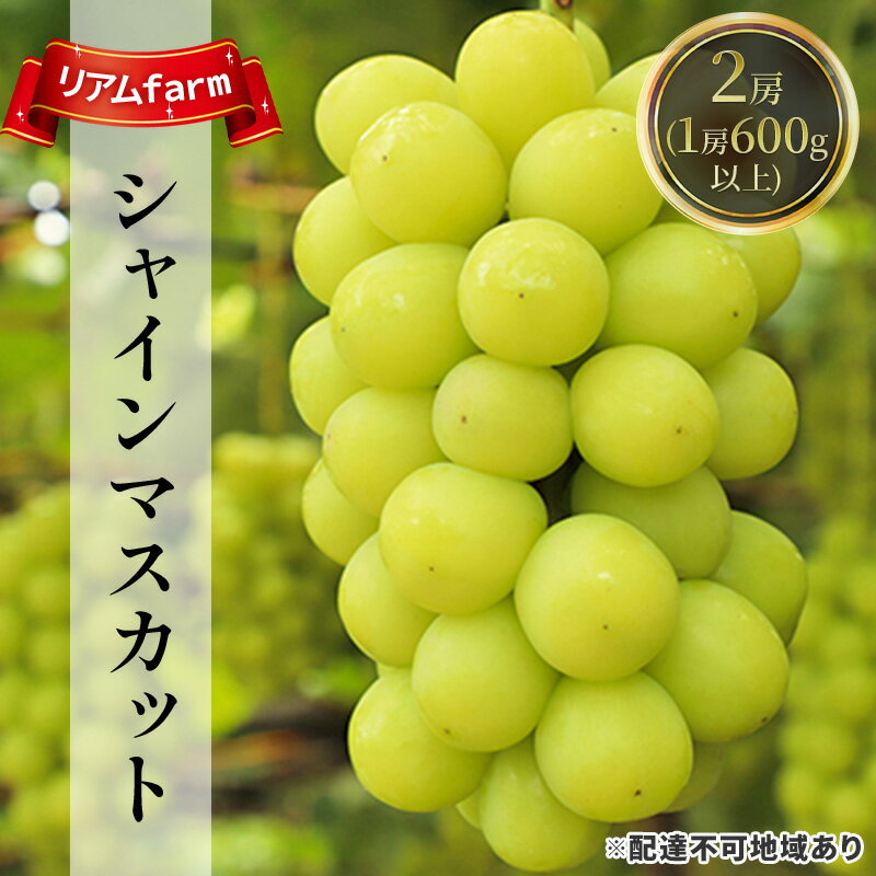 ぶどう 2024年 先行予約 シャインマスカット 2房（1房600g以上）リアム farm 岡山県産 葡萄 果物 フルーツ　【里庄町】　お届け：2024年7月下旬～2024年9月中旬