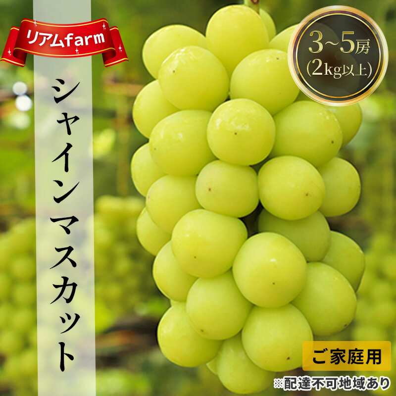 ぶどう 2024年 先行予約 ご家庭用 シャインマスカット 3～5房（2kg以上）リアム farm 岡山県産 葡萄 果物 フルーツ　【里庄町】　お届け：2024年8月下旬～2024年9月下旬