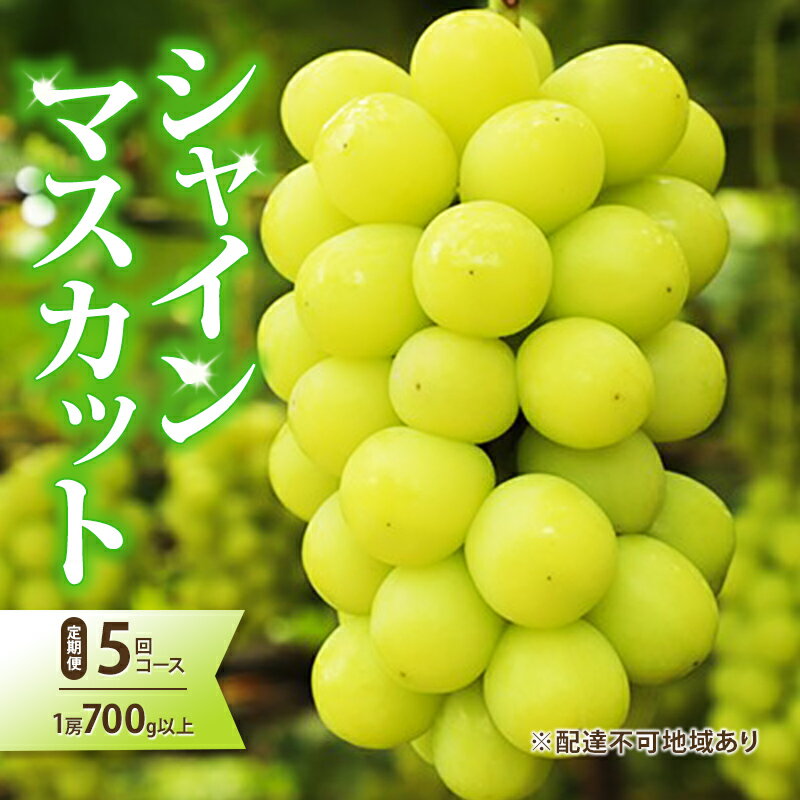 ぶどう 2024年 先行予約 岡山県産 シャインマスカット 1房(約700g以上) 定期便 5回 コース フルーツ 果物 岡山 [定期便・里庄町] お届け:2024年7月10日〜2024年12月12日