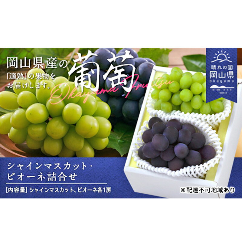 ぶどう 2025年 先行予約 果物 詰合せ シャイン マスカット 1房 ニュー ピオーネ 1房 合計約1.0kg ブドウ 葡萄 岡山県産 国産 フルーツ 果物 ギフト お届け:2025年8月下旬〜2025年10月中旬