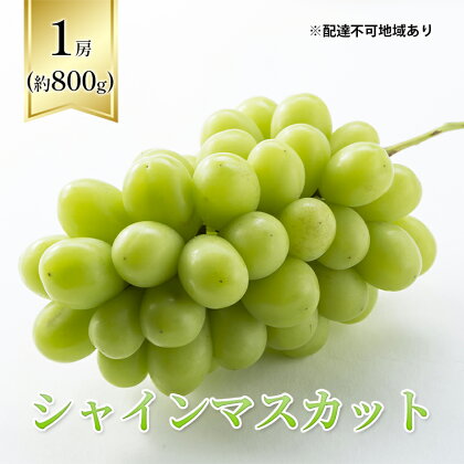 ぶどう 2024年 先行予約 シャインマスカット 1房箱（約800g） 葡萄 ブドウ 岡山県産 フルーツ 果物　【里庄町】　お届け：2024年10月中旬～2024年11月30日