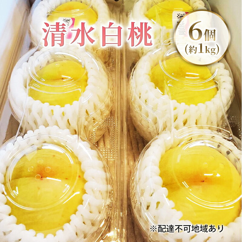 [2026年先行予約] 桃 岡山県産 清水白桃 6個(約1kg) [2026年7月下旬-8月中旬頃出荷] 白桃 岡山 はくとう スイーツ フルーツ 果物 先行予約 数量限定 期間限定 岡山 里庄町 モモ もも 桃 お届け:2026年7月25日〜2026年8月10日