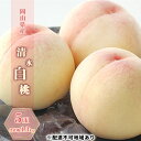 【ふるさと納税】桃 2025年 先行予約 清水白桃 5玉 合計約1.3kg 岡山県 フルーツ もも 桃 モモ ピーチ 人気 新鮮 フルーツ 桃 デザート フルー...