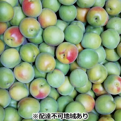 【ふるさと納税】仁科農園産 南高梅 レギュラー 2kg箱 梅 うめ ウメ エキス 梅酒 梅干し お届け:2025年5月20日~2025年6月20日 【ふるさと納税】仁科農園産 南高梅 レギュラー 2kg箱 梅 うめ ウメ エキス 梅酒 梅干し お届け:2025年5月20日~2025年6月20日