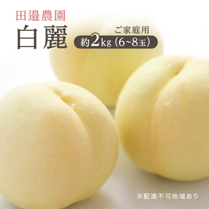 もも 2024年 先行予約 ご家庭用 白麗 約2kg(6〜8玉) 田邉農園 岡山 桃 もも 果物 フルーツ [里庄町] お届け:2024年8月上旬〜2024年8月中旬