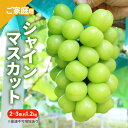 【ふるさと納税】ぶどう 2025年 先行予約 ご家庭用 シャインマスカット 2〜3房 約1.2kg ブドウ シャイン マスカット 葡萄 岡山 国産 フルーツ 果...