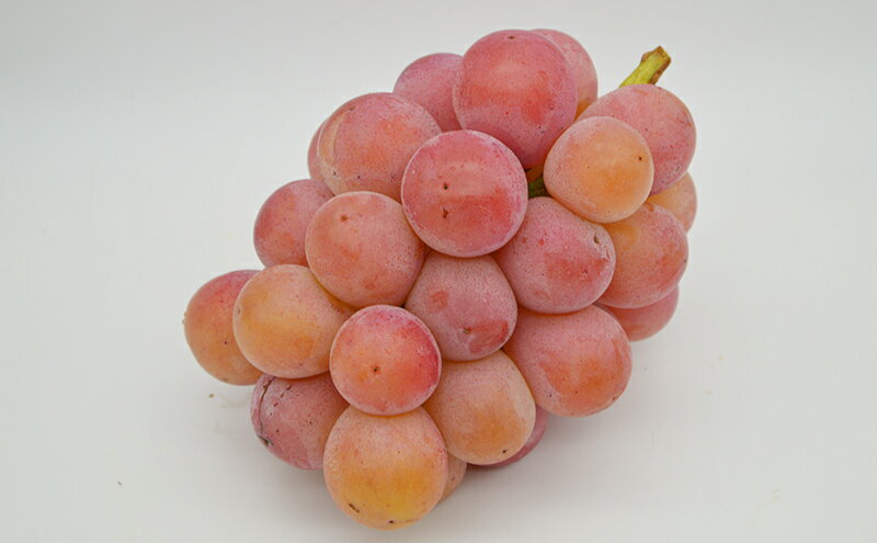 岡山県里庄町の画像3