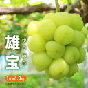 【ふるさと納税】ぶどう 2025年 先行予約 雄宝 1房 約1.0kg 数量限定 ブドウ 葡萄 岡山 国産 フルーツ 果物 お届け:2025年9月上旬~2025年9月下旬