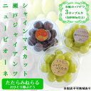 【ふるさと納税】【2025年先行予約】 ぶどう 岡山県産 たたらみねらる アンサンブルカップ( シャインマスカット ・ 瀬戸ジャイアンツ ・ ニューピオーネ )...