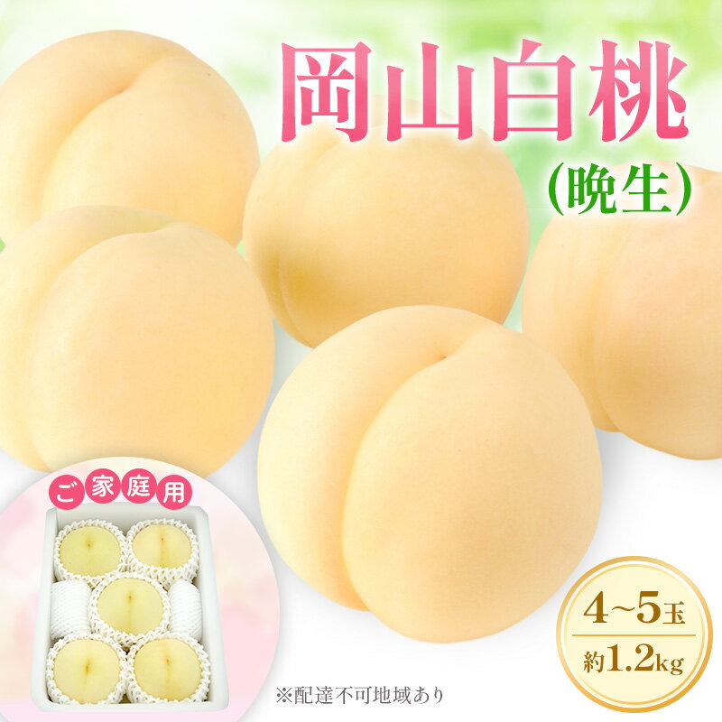 もも 2025年 先行予約 [ご家庭用] 岡山白桃 エース (晩生) 4〜5玉 約1.2kg (8月中旬〜8月下旬出荷予定) お届け:2025年8月16日〜2025年8月30日