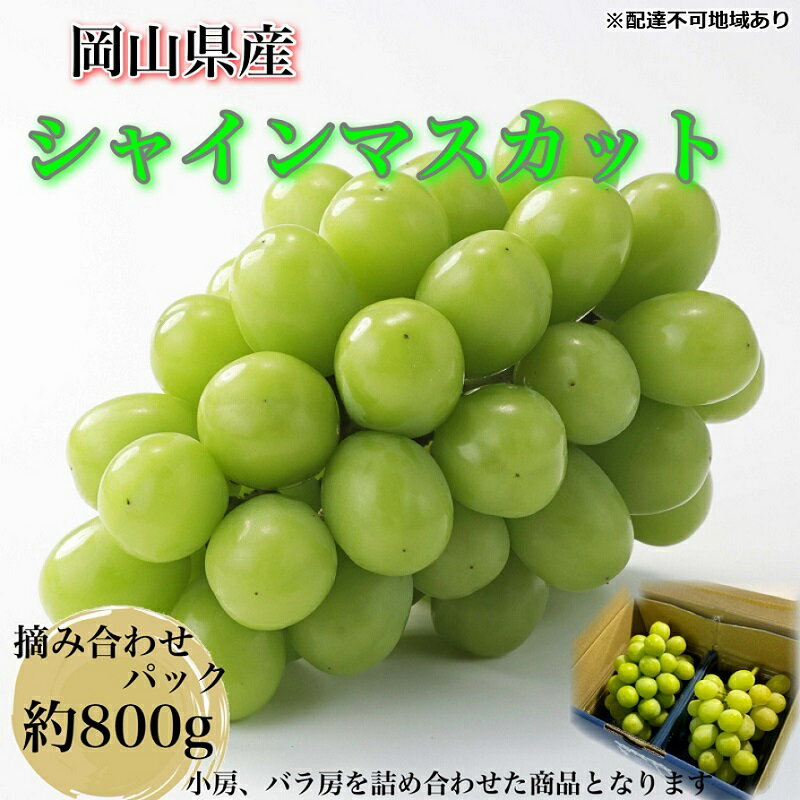ぶどう 2025年 先行予約 [平均糖度20度]農家こだわりの シャインマスカット ご家庭用パック 合計約800g ブドウ 葡萄 岡山県産 国産 フルーツ 果物 ギフト [ Nini farm 農家 直送 ] お届け:2025年9月1日〜2025年10月15日