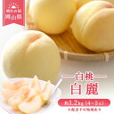 【ふるさと納税】【 2026年 先行予約】 桃 岡山県産 白麗 (白桃) 約1.2kg (4~5玉)《2026年7月下旬-8月中旬頃出荷》 白桃 岡山 はくとう スイーツ フルーツ 果物 先行予約 数量限定 期間限定 岡山 里庄町 モモ もも 桃 お届け:2026年7月下旬~2026年8月中旬