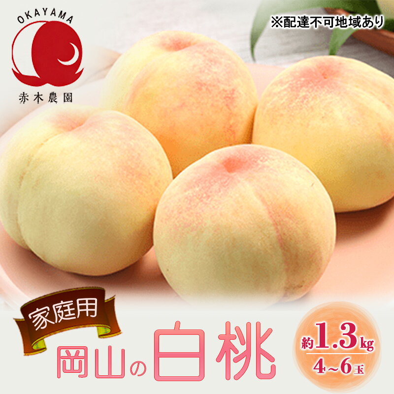 桃 2026年 先行予約 ご家庭用 岡山の白桃 約1.3kg 4〜6玉 白桃 もも モモ フルーツ 果物 岡山県産 国産 赤木農園 お届け:2026年7月上旬〜2026年8月13日頃まで