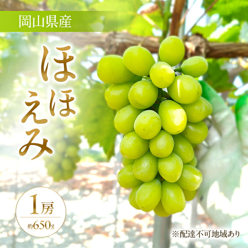 [限定200個][2026年先行予約] ぶどう 岡山県産 超希少品種 ほほえみ 1房(約650g) [2026年8月下旬-9月中旬頃出荷] 葡萄 ブドウ フルーツ 果物 スイーツ 数量限定 期間限定 岡山 里庄町 お届け:2026年8月下旬〜2026年9月中旬