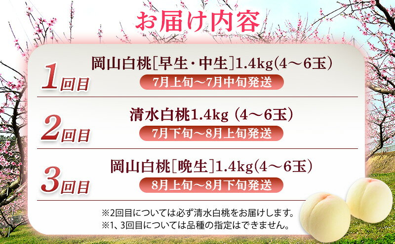 【ふるさと納税】2026年 先行予約 ご家庭用 清水白桃 岡山白桃 食べ比べ定期便 1.4kg(4～6玉) もも モモ 岡山県 国産 フルーツ 果物　お届け：2026年7月上旬～2026年8月下旬