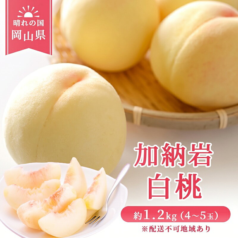 【 2027年 先行予約】 桃 岡山県産 加納岩 白桃 約1.2kg（4～5玉） 《2027年6月下旬-7月上旬頃出荷》 白桃 岡山 はくとう スイーツ フルーツ 果物 先行予約 数量限定 期間限定 岡山 里庄町 モモ もも 桃 お届け：2027年6月下旬～2027年7月上旬