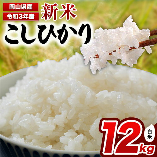 【ふるさと納税】令和3年産 新米 こしひかり12kg 6kg×2袋 岡山県産 白米 精米 単一原料米 矢掛町《10月下旬-11月末頃より順次出荷》