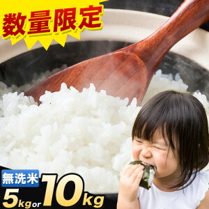 【ふるさと納税】晴れの国岡山の無洗米 選べる内容量 5kg 10kg 岡山県産 無洗米 無洗 米 矢掛町《7-14営業日以内に出荷(土日祝除く)》米 コメ
