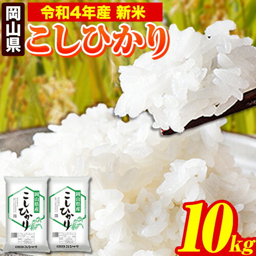 【ふるさと納税】令和4年産 新米 岡山県のこしひかり 10kg 5kg×2袋 岡山県産 白米 精米 矢掛町《7-14営業日以内に順次出荷(土日祝除く)》 こしひかりコシヒカリ 米 コメ 令和4年産 新米 送料無料