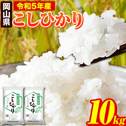 令和5年産 岡山県のこしひかり 10kg 5kg×2袋 岡山県産 白米 精米 矢掛町《7-14営業日以内に出荷予定(土日祝除く)》 こしひかりコシヒカリ 米 コメ 令和5年産 送料無料