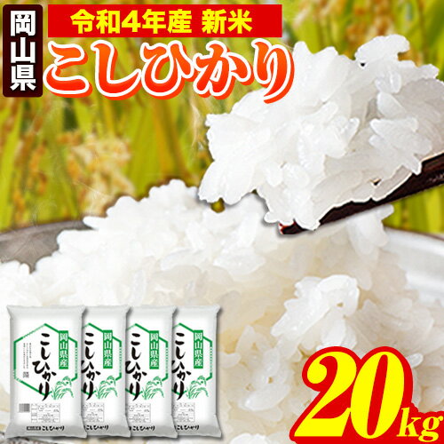 【ふるさと納税】令和4年産 新米 岡山県のこしひかり 20kg 5kg×4袋 岡山県産 白米 精米 矢掛町《7-14営業日以内に順次出荷(土日祝除く)》 こしひかりコシヒカリ 米 コメ 令和4年産 新米 送料無料