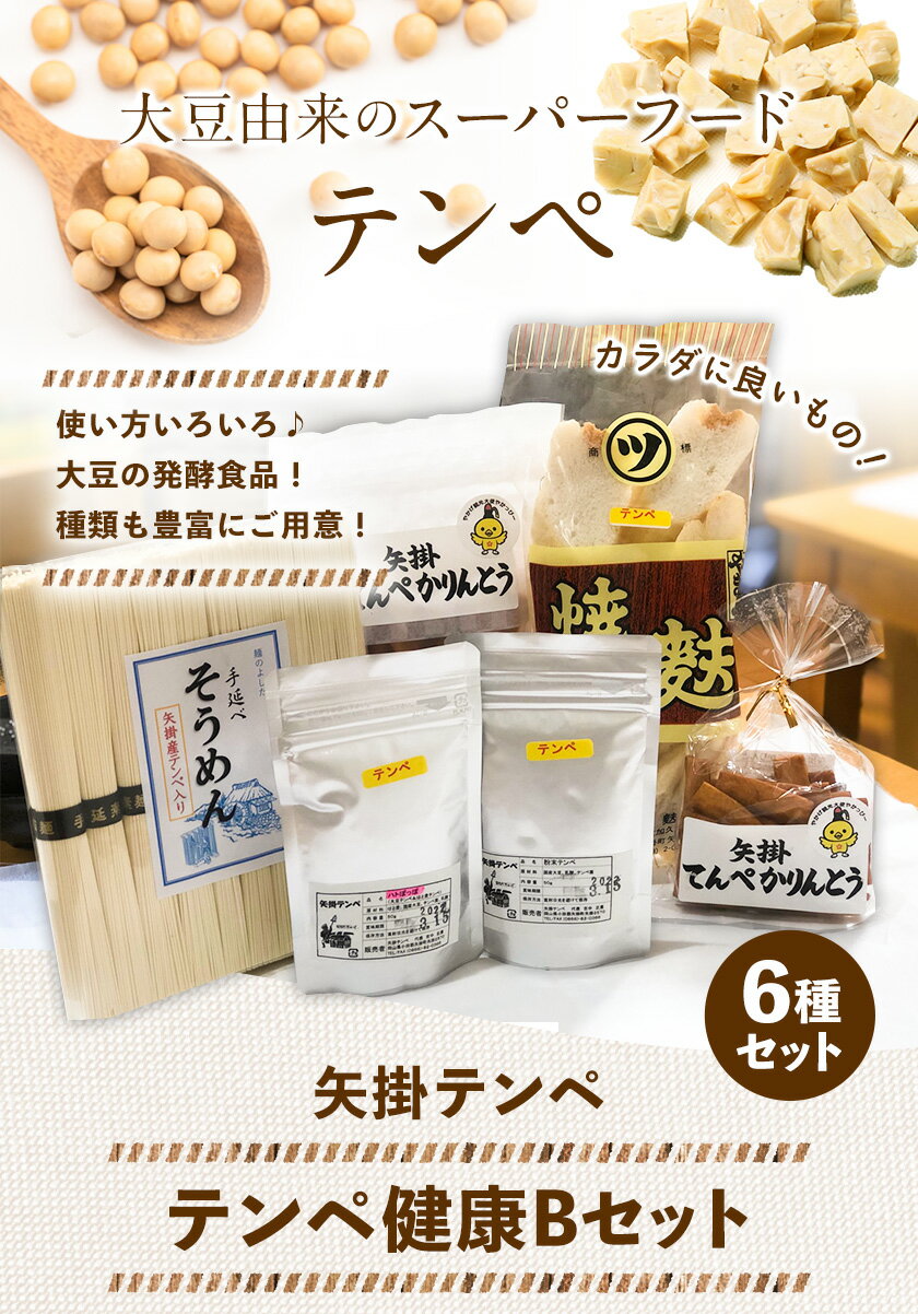 【ふるさと納税】テンペ健康セットB 6種セット 矢掛テンペ 《30日以内に出荷予定(土日祝除く)》手延べそうめん 粉末テンペ かりんとう 麩 大豆 発酵食品 スーパーフード 岡山県矢掛町産 発酵亭