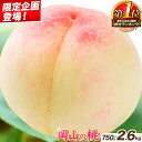【ふるさと納税】 桃 【先行予約】 岡山県産 岡山の桃 約750g 約1kg 約1.3kg 2.6kg 4kg 定期便 選べる内容量 《2025年6月下旬-9月下旬頃出荷》 白桃 黄桃 フルーツ 果物 先行予約 数量限定 岡山 矢掛町 桃 モモ もも 清水白桃 白鳳 送料無料 高レビュー 黄金桃 お取り寄せ