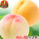 【ふるさと納税】桃 岡山県産 岡山の桃 約750g 約1.3kg 2.6kg 定期便 選べる内容量 桃の品種 桃 白桃 黄桃 《2025年6月下旬-9月下旬頃出...